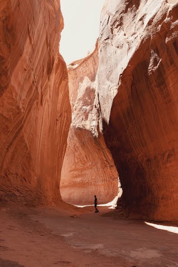 The scale