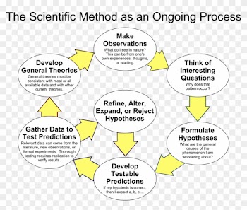The Scientific Method Essay 1173 Words Bartleby - Scientific Method