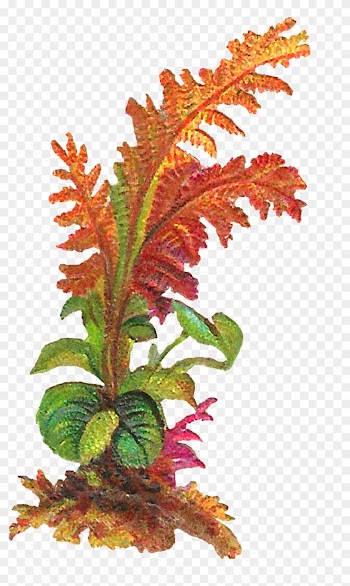 The Second Digital Leaves Download Is Also Designed - The Second Digital Leaves Download Is Also Designed