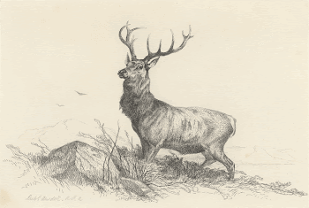 The Sentinel (1857) print in high | Free Photo - rawpixel
