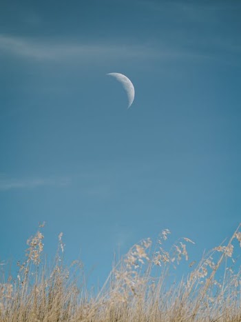 The silence  · Free Stock Photo