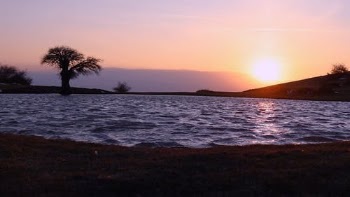 The  Silhouette of the Sea During the Golden Hour · Free Stock Video