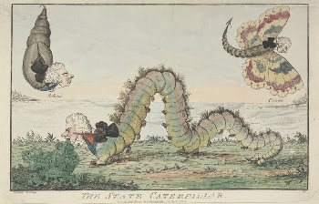 The State Caterpillar | Free Photo - rawpixel
