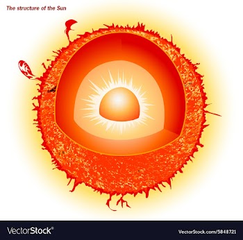 The structure of the sun vector image