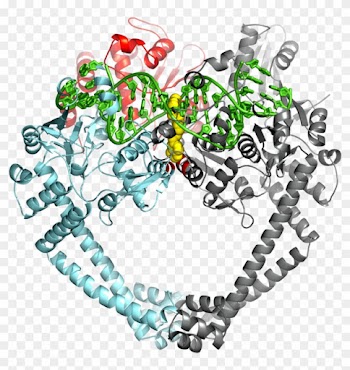 The Structure Was Published In The Journal Nature - Graphic Design