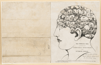 The Symbolical head, illustrating all | Free Photo - rawpixel