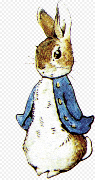 The Tale of Peter Rabbit Illustration - Illustration Rabbit 