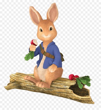 The Tale of Peter Rabbit Mr. McGregor Character - Jade rabbit 