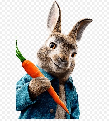 The Tale of Peter Rabbit Mr. McGregor Meet Peter Rabbit Cinema Film - peter rabbit 