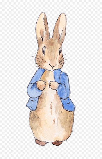 The Tale of Peter Rabbit Wedding invitation Birthday - Open Watercolor painted bunny love 