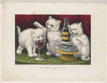The three jolly kittens - | Free Photo - rawpixel