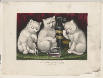 The three jolly kittens - | Free Photo - rawpixel