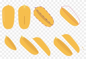 The Three Layers Of The Shell Are Shown Separately - Fast Food