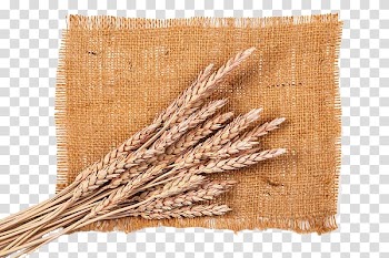 The top of the sack transparent background PNG clipart