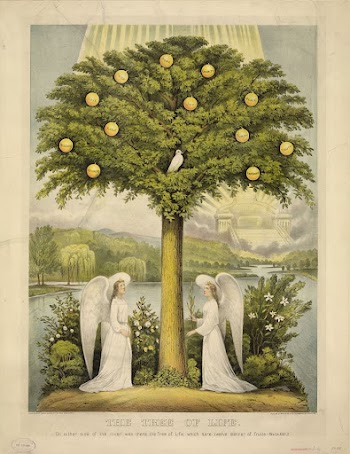 The tree of life: on either | Free Photo - rawpixel