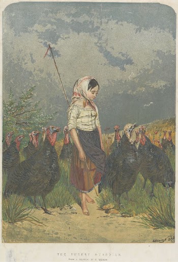 The Turkey Guardian | Free Photo - rawpixel
