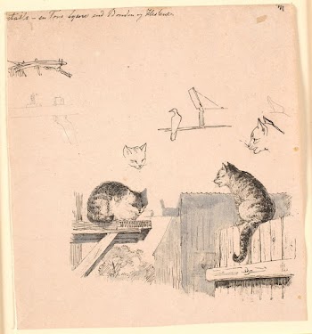 The two cats.F.o.studies of cat | Free Photo - rawpixel