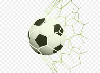 The UEFA European Football Championship Goal - Football into the net 