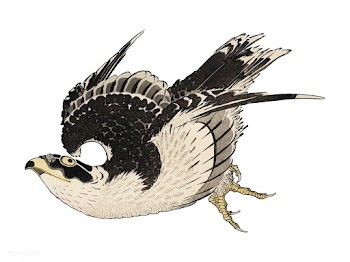 The ukiyo-e illustration, Hawk by Katsushika .. | Free stock vector - 471571