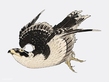 The ukiyo-e illustration, Hawk by Katsushika .. | Free stock vector - 471572