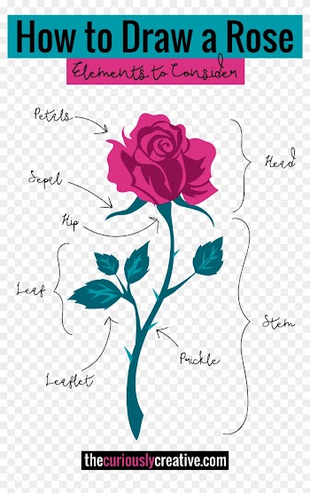 The Ultimate List Of Resources And Tutorials For How - Pen Drawing Rose