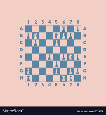 The various chess position vector image