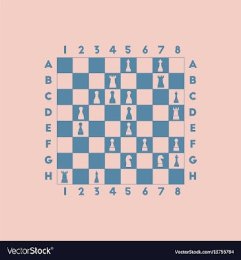 The various chess position vector image