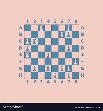 The various chess position vector image