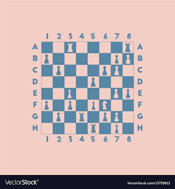 The various chess position vector image