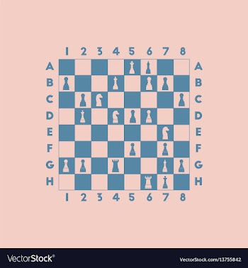 The various chess position vector image