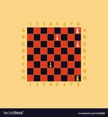The various chess position vector image