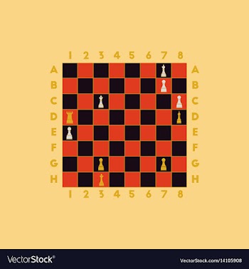 The various chess position vector image