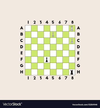 The various chess position vector image