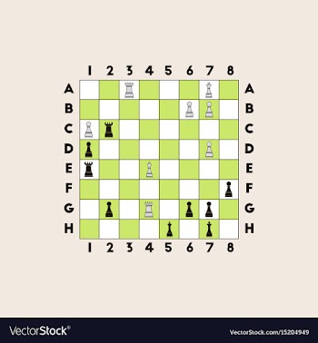 The various chess position vector image