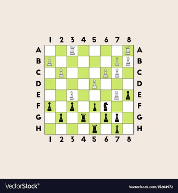 The various chess position vector image
