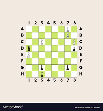 The various chess position vector image
