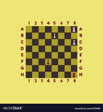The various chess position vector image