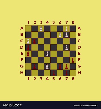 The various chess position vector image