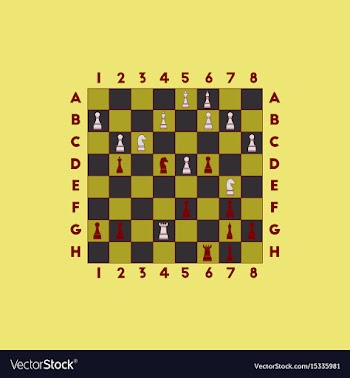 The various chess position vector image
