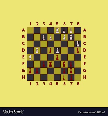 The various chess position vector image