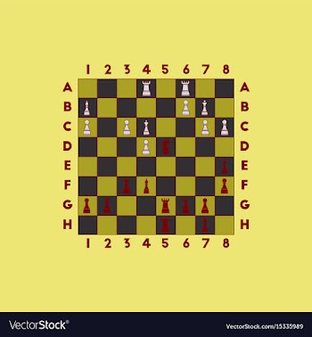 The various chess position vector image
