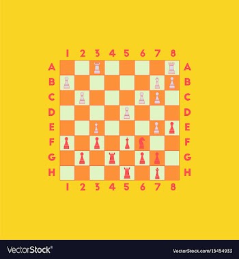 The various chess position vector image
