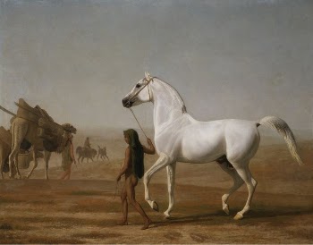 The Wellesley Grey Arabian Led | Free Photo - rawpixel