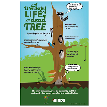The Wonderful Life of a Dead Tree Poster – Environment for the ...