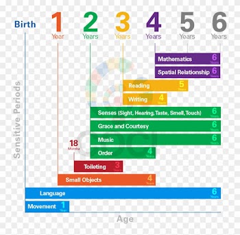 The Word Mathematics Download - Montessori Sensitive Periods Chart