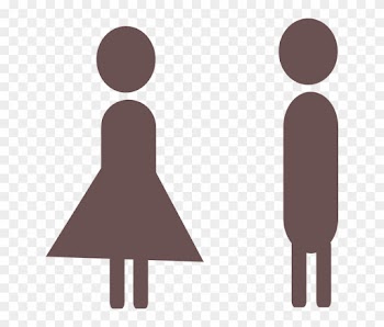 The Words For “his” And “her” In French Are Son, Sa, - เพศ ชาย เพศ หญิง