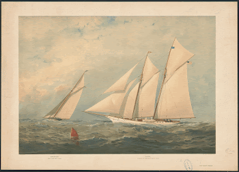 The yacht race | Free Photo - rawpixel