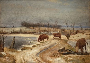 The young cattle are watered | Free Photo - rawpixel