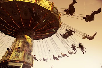 Themed Park Rides