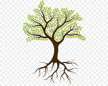 Theoretical Perspectives on Family Businesses Management Organization - the roots 